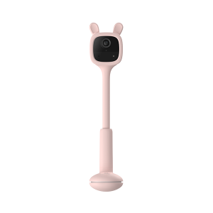 CS-BM1-R100-2D2WF-PNK