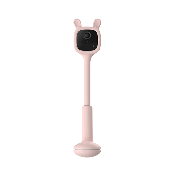 CS-BM1-R100-2D2WF-PNK